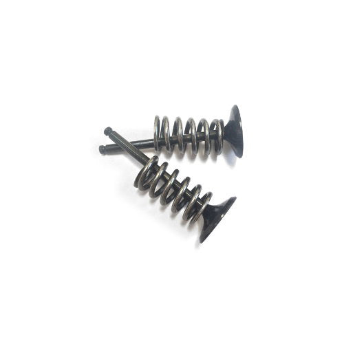 Valve conversion kit Suzuki RMZ 450 (2008 - 2025) Exhaust Wossner