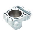 Airsal Cylinder Kawasaki KX 250 F (2009)