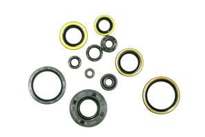 Engine Seal Set Kawasaki KX 250 (1995 - 2003)