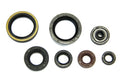 Engine Seal Set Suzuki RMZ 250 (2007 - 2009)