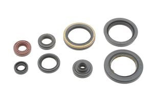 Engine Seal Set Suzuki RMZ 450 (2008 - 2024)