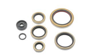 Engine Seal Set - KTM (2000 - 2003)