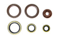 Engine Seal Set - Husqvarna/KTM (2012 - 2016)